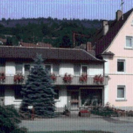 Hotel Gastehaus Endrich Heidelberg Exteriér fotografie